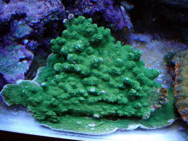 120-1-05-cc.jpg