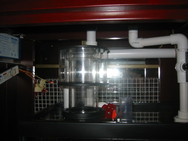 115-1517_IMG.jpg