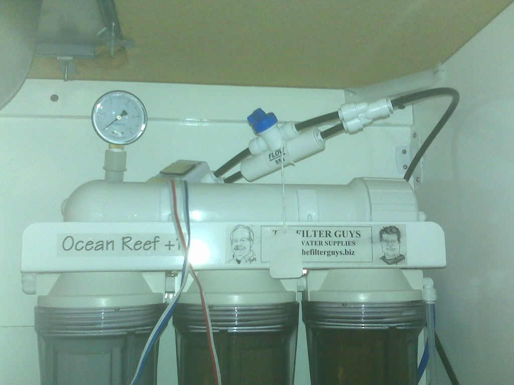 IMG00029.jpg