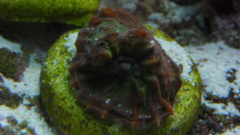 DSCN1321.jpg