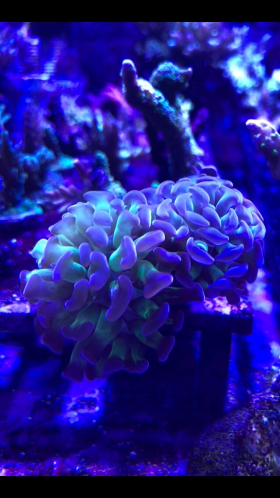 7a5fd5aceb1410bf578afb1da6de4ef9.jpg