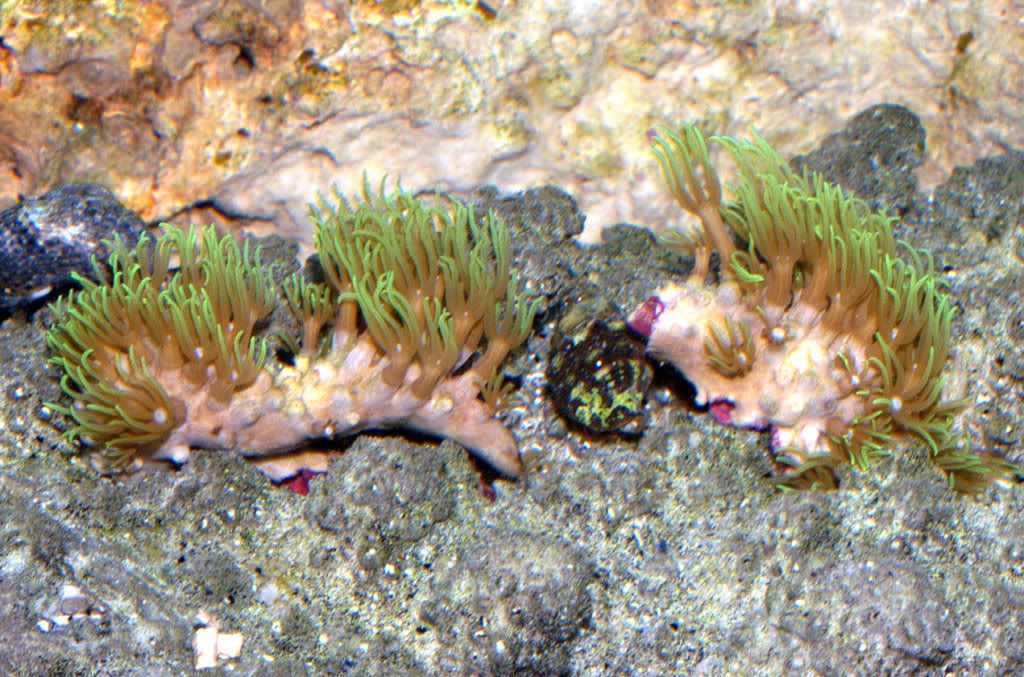 P5297595.jpg