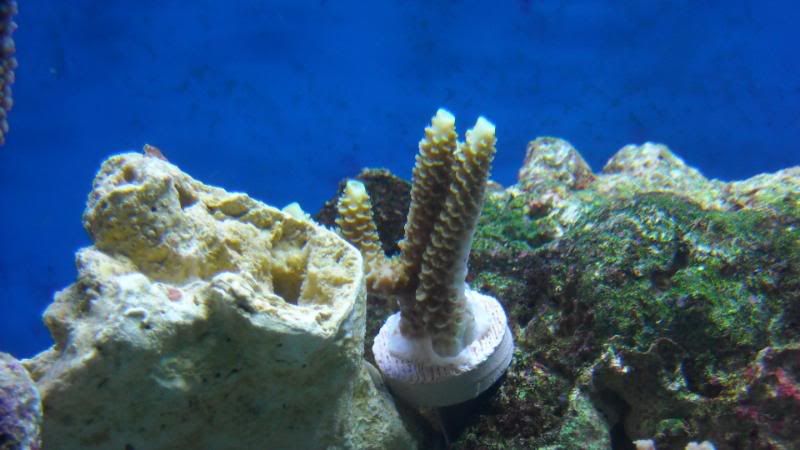 DSCN0804.jpg