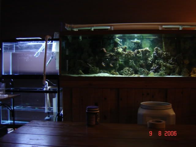 DSC00901.jpg