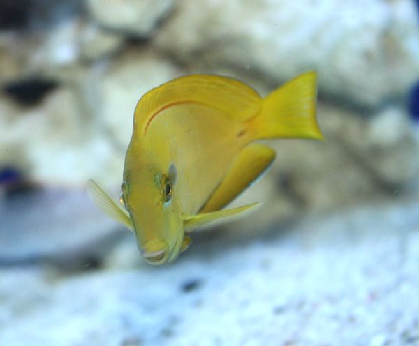IMG_6738.jpg