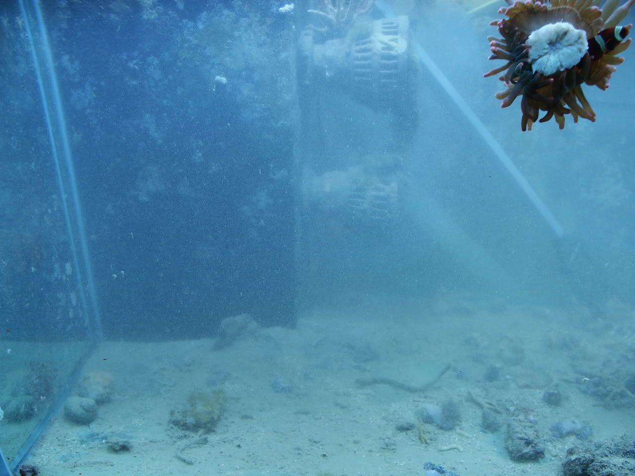 PICT0084.jpg