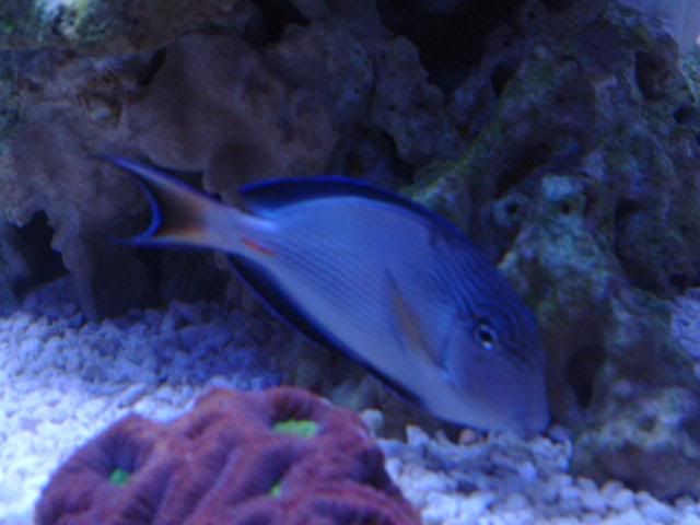 DSCF0021.jpg