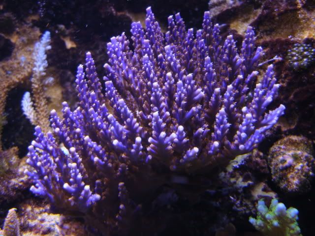 DSC01235.jpg