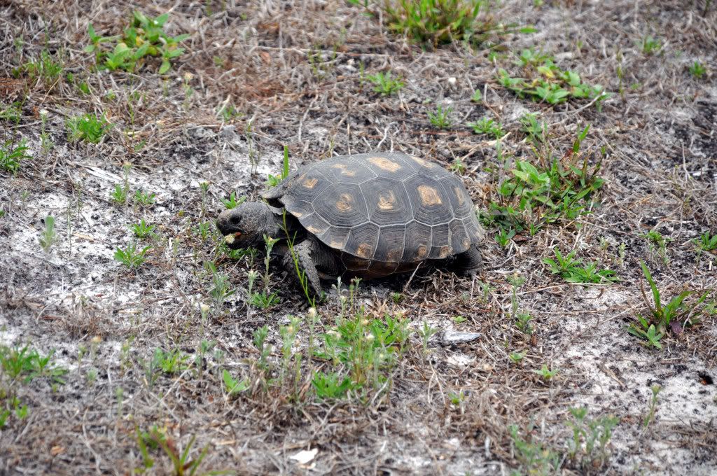 DSC_0841_edited-1.jpg