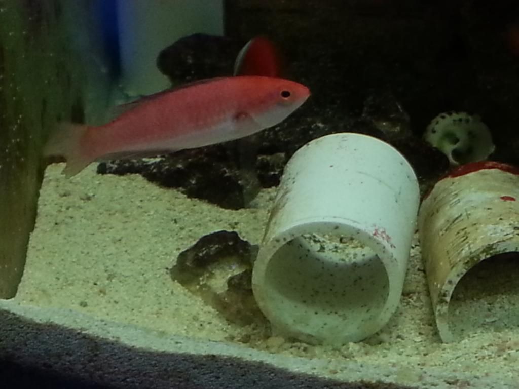 20141203_155916_zps5f5dd9c7.jpg