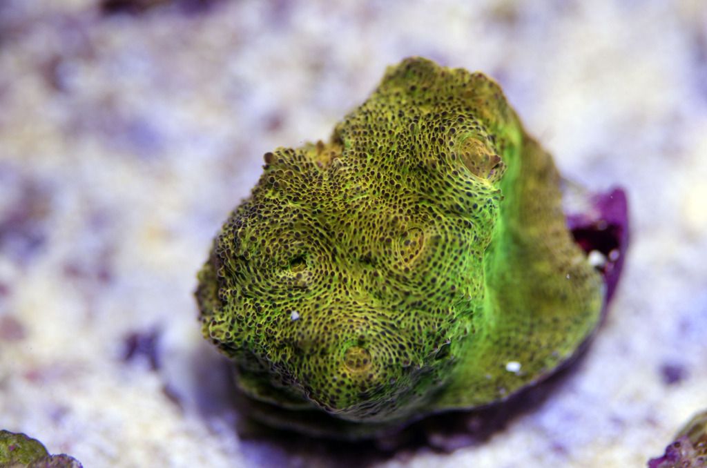 DSC_0032.jpg