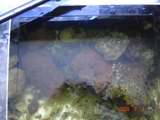 DSC03152.jpg