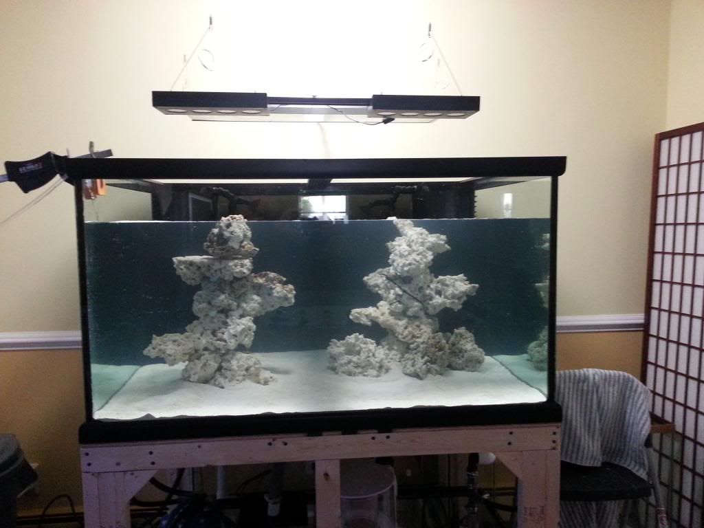 20121214_144511-Copy_zpsfb0e27bd.jpg