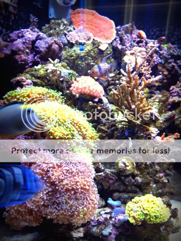GosmsPhoto1324077415497.jpg