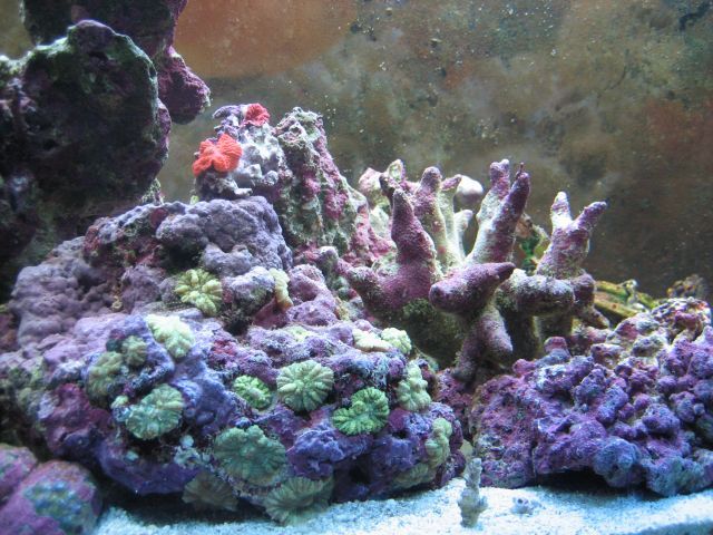 IMG_2349.jpg