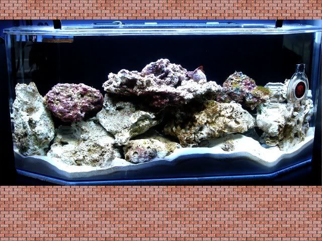 Aquarium10.jpg