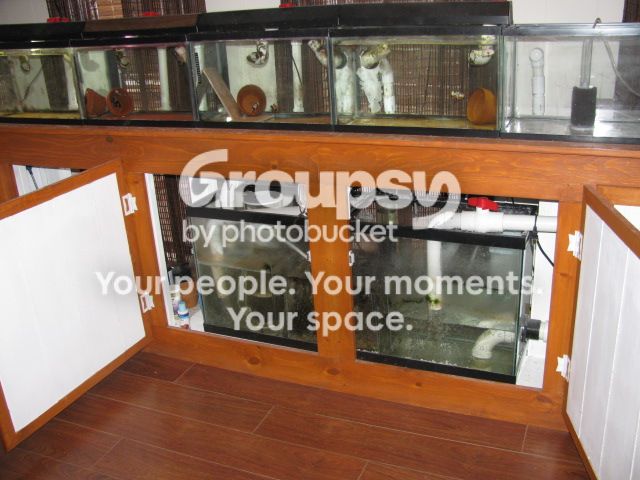 Breedertank003_zpsf8123d9c.jpg
