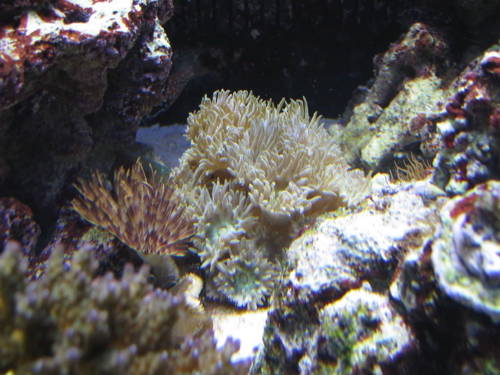 IMG_0261.jpg