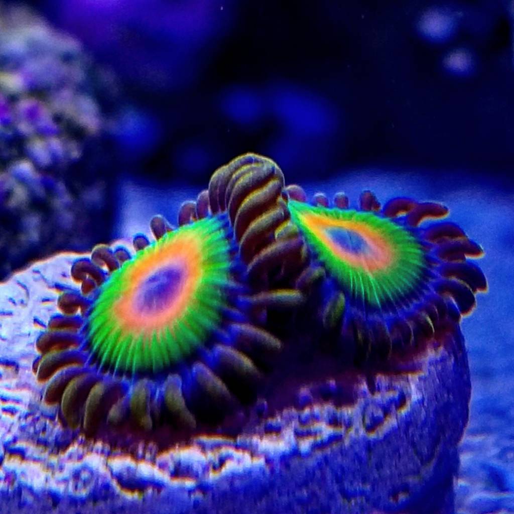 0355d4de7d8e51652ff5391209ae63d3.jpg