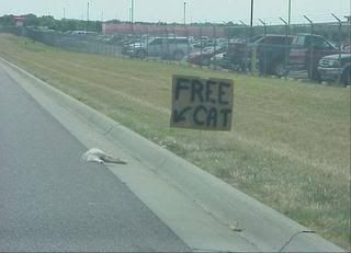 freecat.jpg