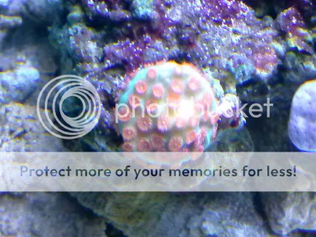 CAM00520.jpg