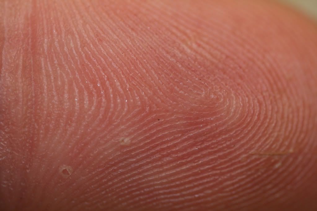 fingertip1.jpg
