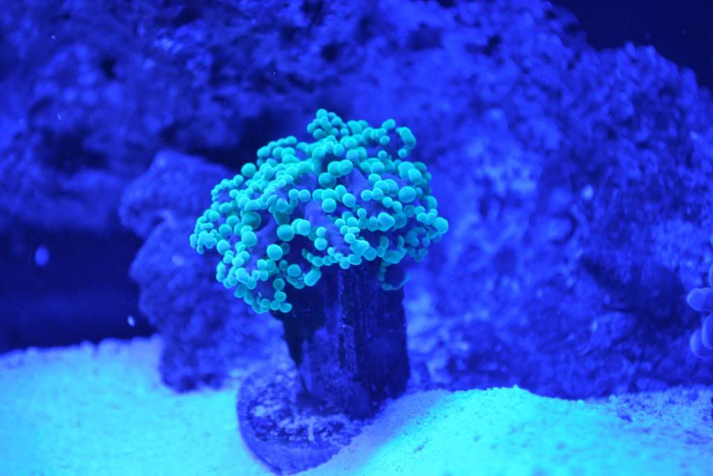 DSC_0024.jpg