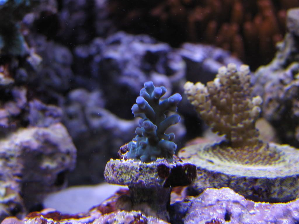 IMG_0308.jpg