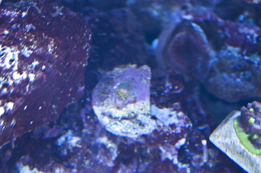 DSC_0022.jpg