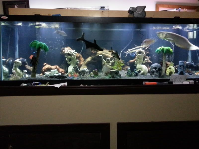 20121212_233513.jpg