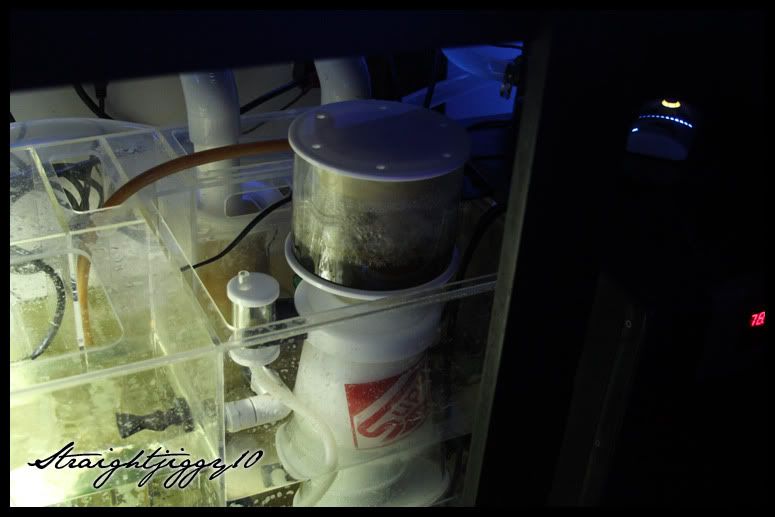 IMG_1021_2copy.jpg