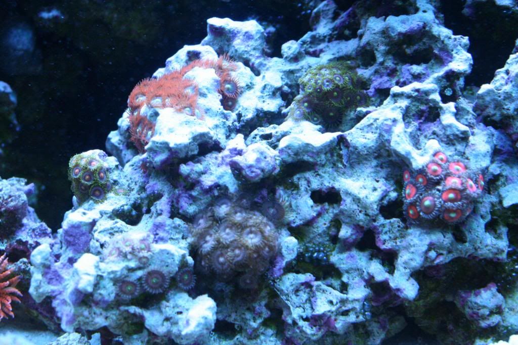 basement4-21-12646.jpg