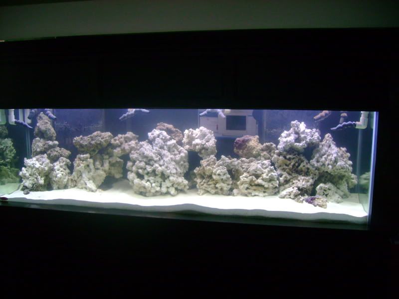 DSC01310.jpg
