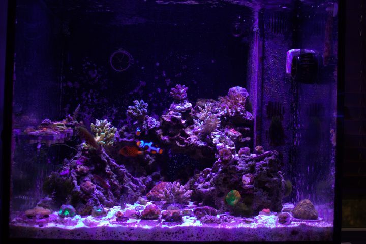 fts.jpg