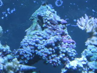 IMG_1103.jpg