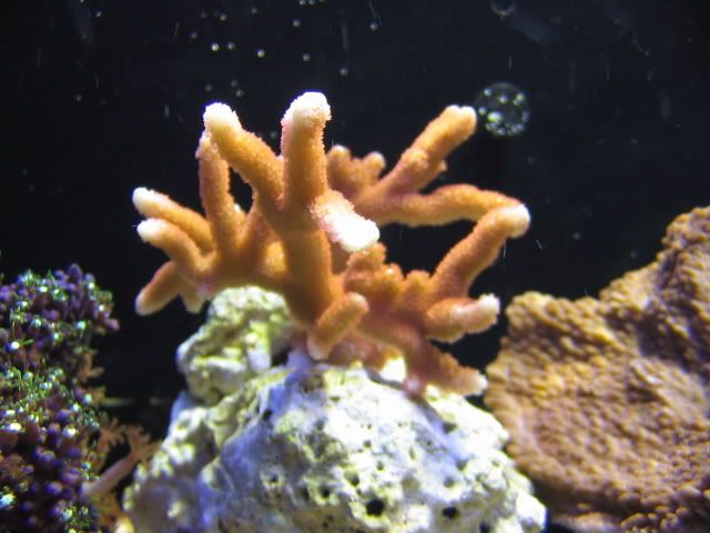 5563fa3d.jpg