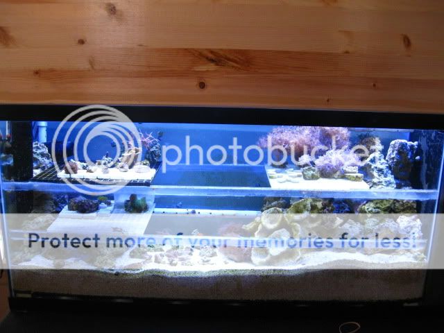 IMG_0546.jpg