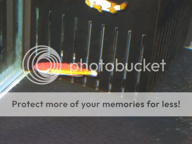 0IMG_5725.jpg