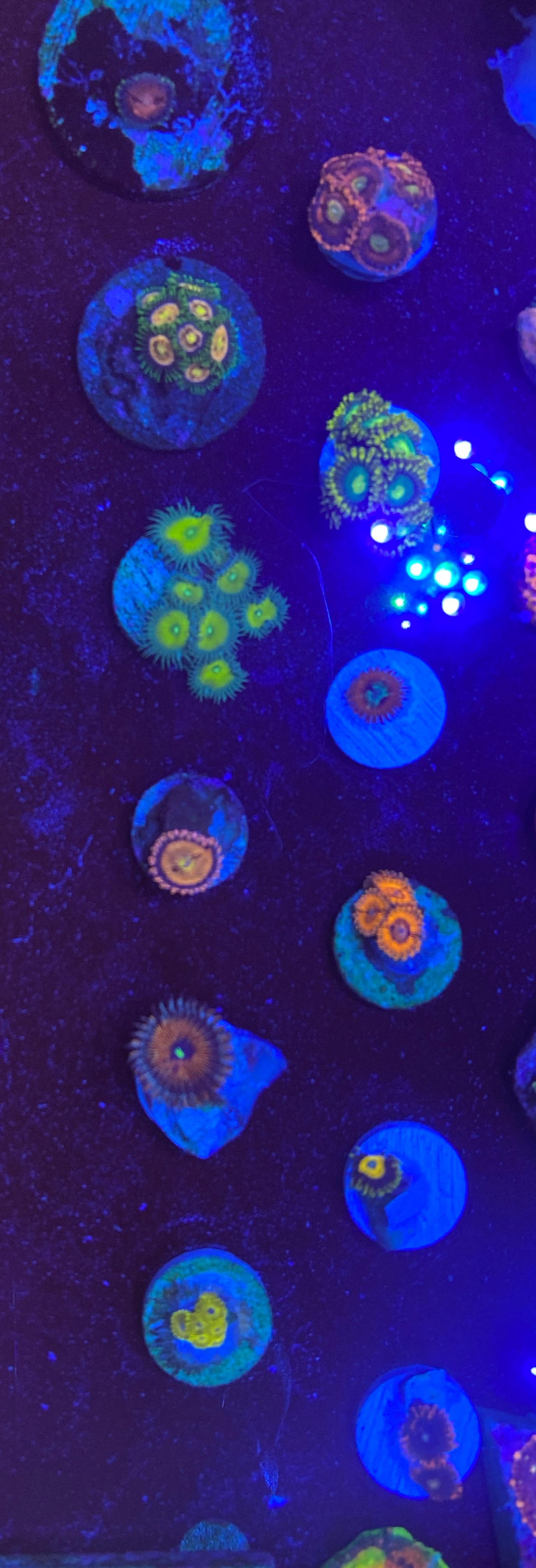 7e18de0686ed1189b963b0365885c5f6.jpg