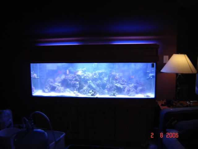 DSC00827.jpg