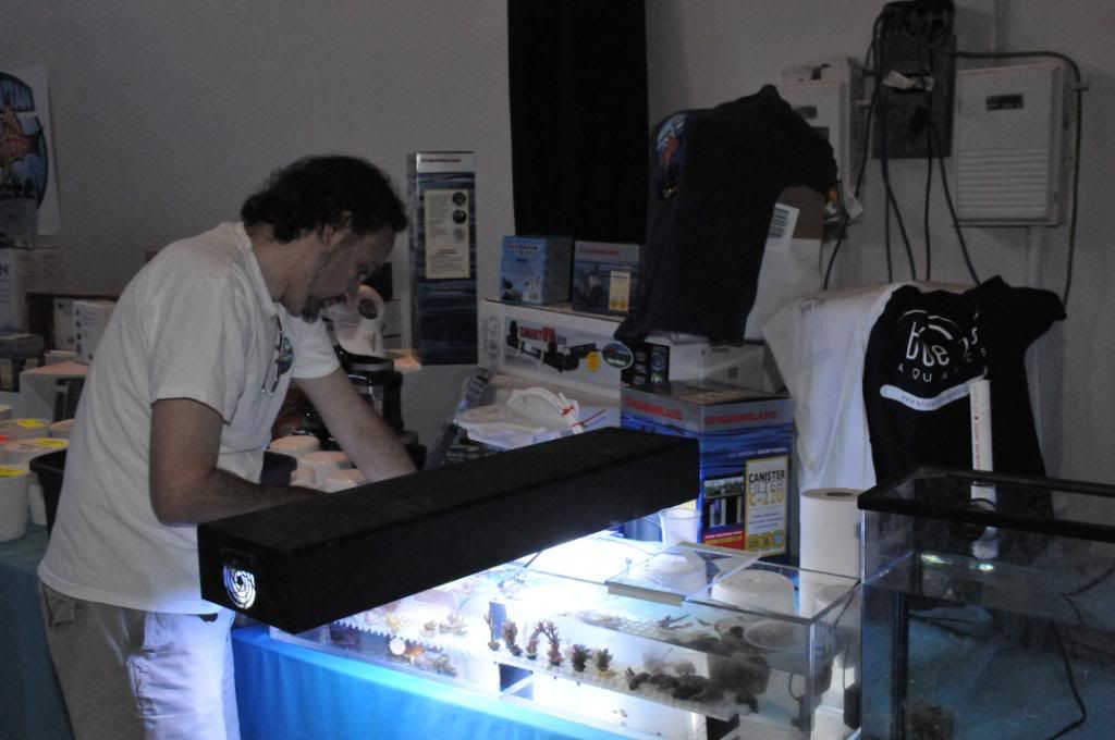 swap035-1.jpg