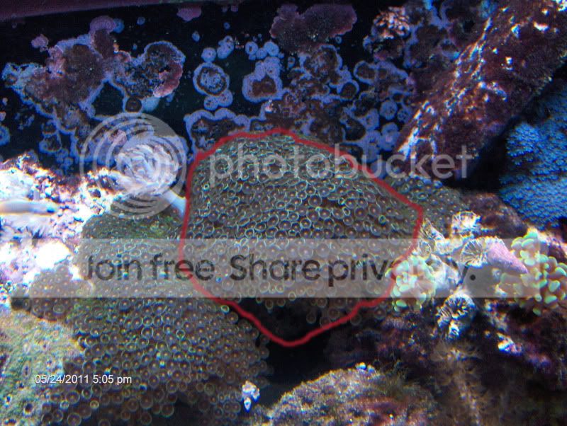 fishtank50200.jpg