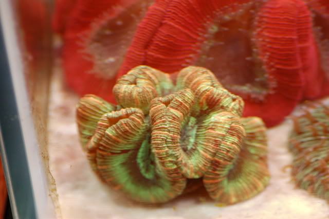 120g_035.jpg