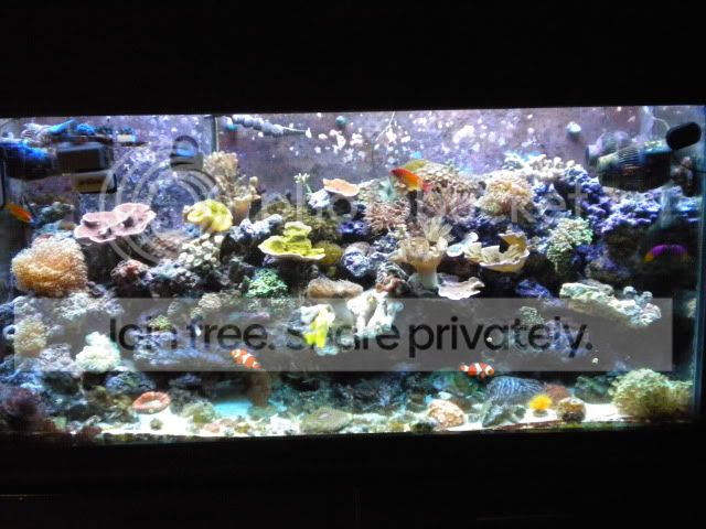 DSCN3758.jpg