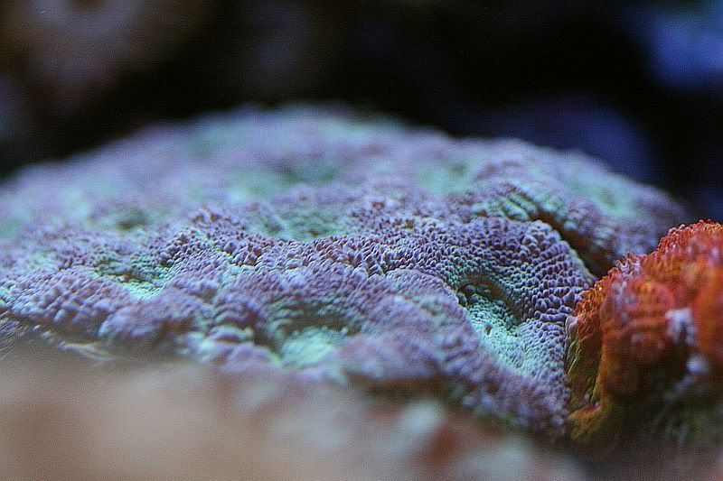 032-1.jpg