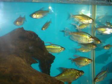 DSC01577.jpg