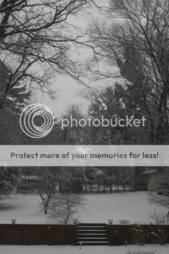 2009-12-30070683x1024.jpg