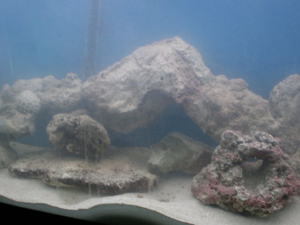 sono1048.jpg