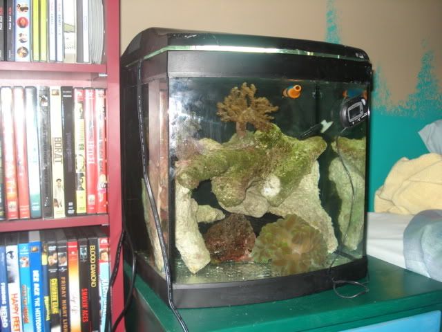 DSC02031.jpg