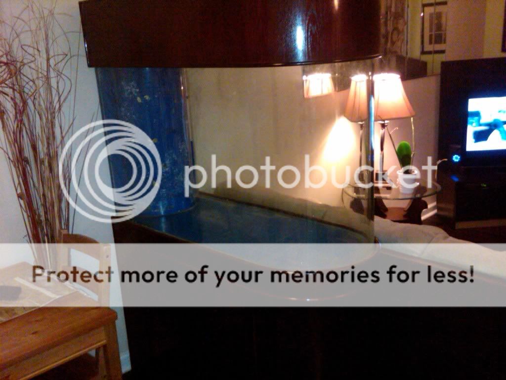 IMG00077-20110303-2356.jpg